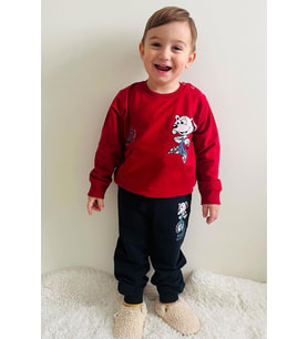 Breeze Girls & Boys Erkek Bebek Eşofman Takım Bisikletli Mutlu Köpekçik Baskılı 9 Ay-3 Yaş, Kırmızı