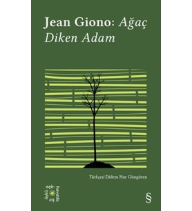 Ağaç Diken Adam - Açıkhava 17