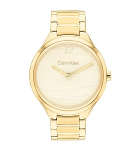 Calvin Klein CK25100048 Kadın Kol Saati