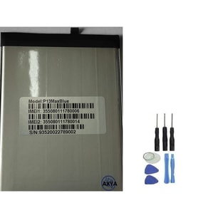 Reeder P13 Max Blue Pil Batarya ve Tamir Seti