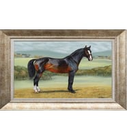 GÜMÜŞ ÇERÇEVELİ TABLO N436