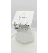 Silver Renk Kalpli Set Küpe