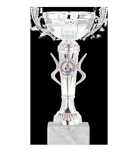 ODAK KUPA - Economy Kupalar - ECO-034 C - 22 cm