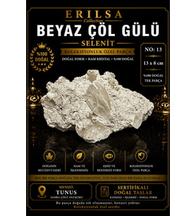 Sertifikalı Beyaz Çöl Gülü Selenit Taşı Kütle 13x8 cm Koleksiyonluk Doğal Tek Parça