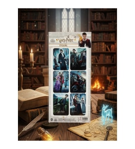 Harry Potter Lisanslı 2'li Sticker Set
