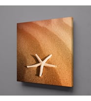 DENİZ YILDIZI KANVAS TABLO 70x70cm (Karışık)