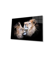 Aslan Cam Tablo 4mm Dayanıklı Temperli Cam (Çok Renkli)