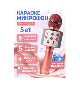 Kablosuz Karaoke Çocuk Mikrofonu