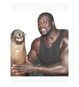 Shaq Ve Deniz Aslanı Tablo Ahşap Poster Dekoratif