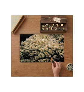 Okyanus Canlıları- Sualtı Bitkileri Tasarımı 240 parça Ahşap Puzzle Ahşap Kutuda MP00244