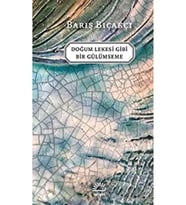 Doğum Lekesi Gibi Bir Gülümseme Barış Bıçakcı İletişim