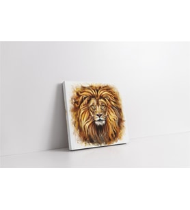 Aslan