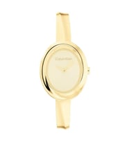 Calvin Klein CK25100056 Kadın Kol Saati