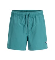 JACK JONES Erkek Suda Renk Değiştirebilen Deniz Şortu 12291491