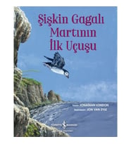 Şişkin Gagalı Martının İlk Uçuşu