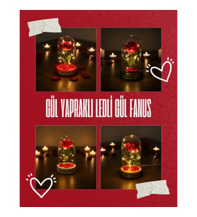 Gül Yapraklı Ledli Gül Fanus