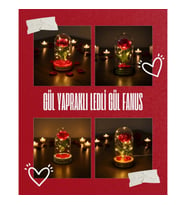 Gül Yapraklı Ledli Gül Fanus