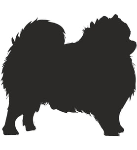 KÖPEK FOLYO STİCKER 50cm Uzunluk