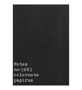 PAPİRÜS NOTES TERZİ DİKİŞ KARTON KAPAK 16X23 56YP. ÇİZGİLİ DEFTER