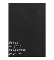 PAPİRÜS NOTES TERZİ DİKİŞ KARTON KAPAK 16X23 56YP. ÇİZGİLİ DEFTER