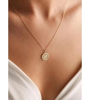 Kişiye Özel 925 Ayar Gümüş Minimal Zeytin Dalı Model Zarif Kolye (Gold)