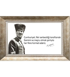 GÜMÜŞ ÇERÇEVELİ TABLO NN282
