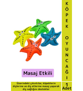 Evcil Hayvan Köpek Diş Temizliği Kaşıma Masaj Etkili İlgi Çekici Denizyıldızı Figür Çiğneme Oyuncağı