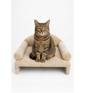 Rahat ve şık Pet Peluş Kedi Yatağı 45x33x25 cm Bej