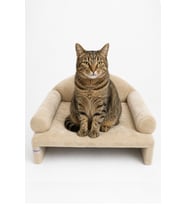 Rahat ve şık Pet Peluş Kedi Yatağı 45x33x25 cm Bej
