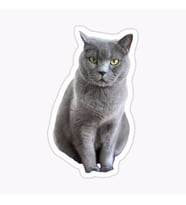British Shorthair Kedi Araba Oto Sticker Yapıştırma Etiket 17CM z4