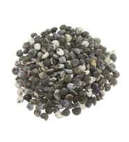 100gr. Umbinium Doğal Deniz Kabuğu