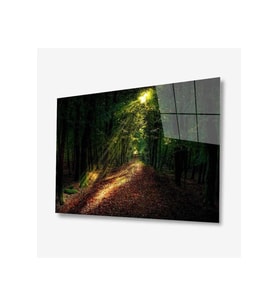 Doğa Cam Tablo 4mm Dayanıklı Temperli Cam (Çok Renkli)