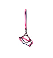 Kedi Köpek Göğüs Tasması Neon Pembe