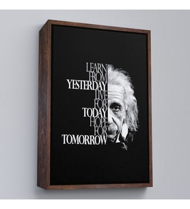 Çerçeveli Dünden Öğrenin Bugünü Yaşayın Yarını Umut Edin Kanvas Tablo, Albert Einstein (Kahverengi)