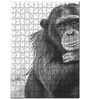 Cakapuzzle Şempanze Portre Siyah Beyaz Puzzle Yapboz MDF (Ahşap) (120 Parça)