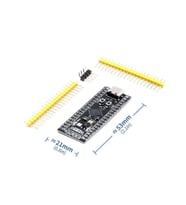 STM32F411 CEU6  Geliştirdme Kartı