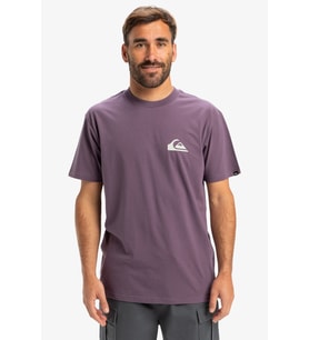 Quiksilver Ev Mini Logo Erkek Tişört (Mor)