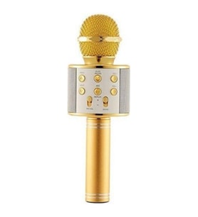 Wster Ws-858 Karaoke Mikrofon