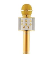 Wster Ws-858 Karaoke Mikrofon