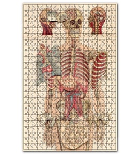 Cakapuzzle İç Organlar İnsan Anatomisi Görseli Puzzle Yapboz MDF (Ahşap) (120 Parça)