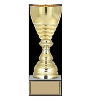 ODAK KUPA - Medium Kupalar - M-019 B - 28 cm