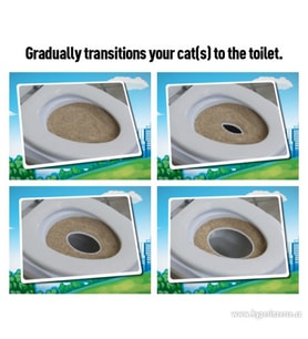CitiKitty Kedi Tuvalet Eğitim Seti