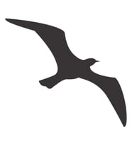 KUŞ FOLYO STİCKER 160cm Uzunluk (Karışık)