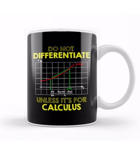 Do Not Differentiate Unless It's For Calculus Math Kupa Bardak Porselen