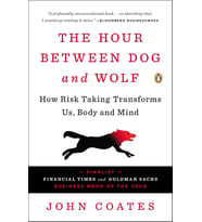 The Hour Between Dog And Wolf: How Risk Taking Transforms Us, Body And Mind