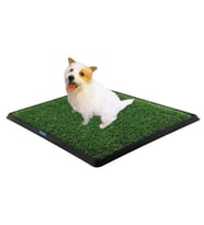 Köpek Tuvalet Eğitim Seti