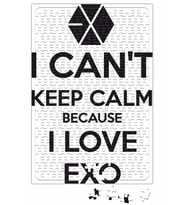 Exo i Cant Keep Calm Puzzle 240 Parça Yapboz