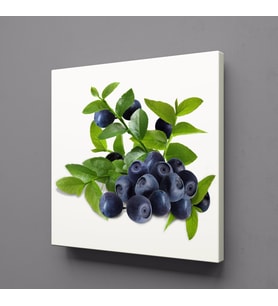 YABAN MERSİNİ KANVAS TABLO 100x100cm (Karışık)
