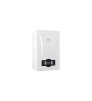 PROTEUS PREMİX 28 KW