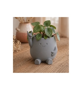 Alvera Smiley Face Planter – 3D Baskı Gülümseyen Karakterli Saksı-Gri